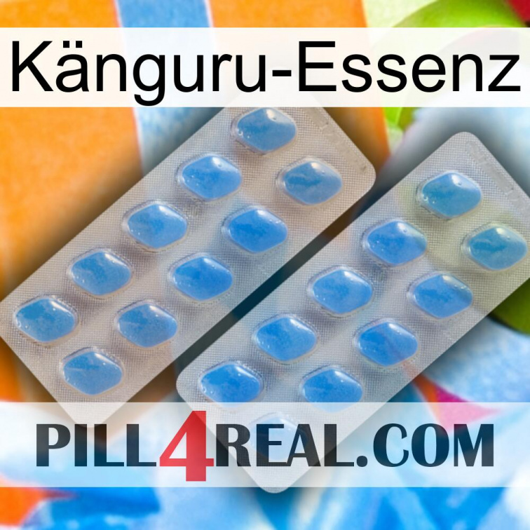 Känguru-Essenz 23